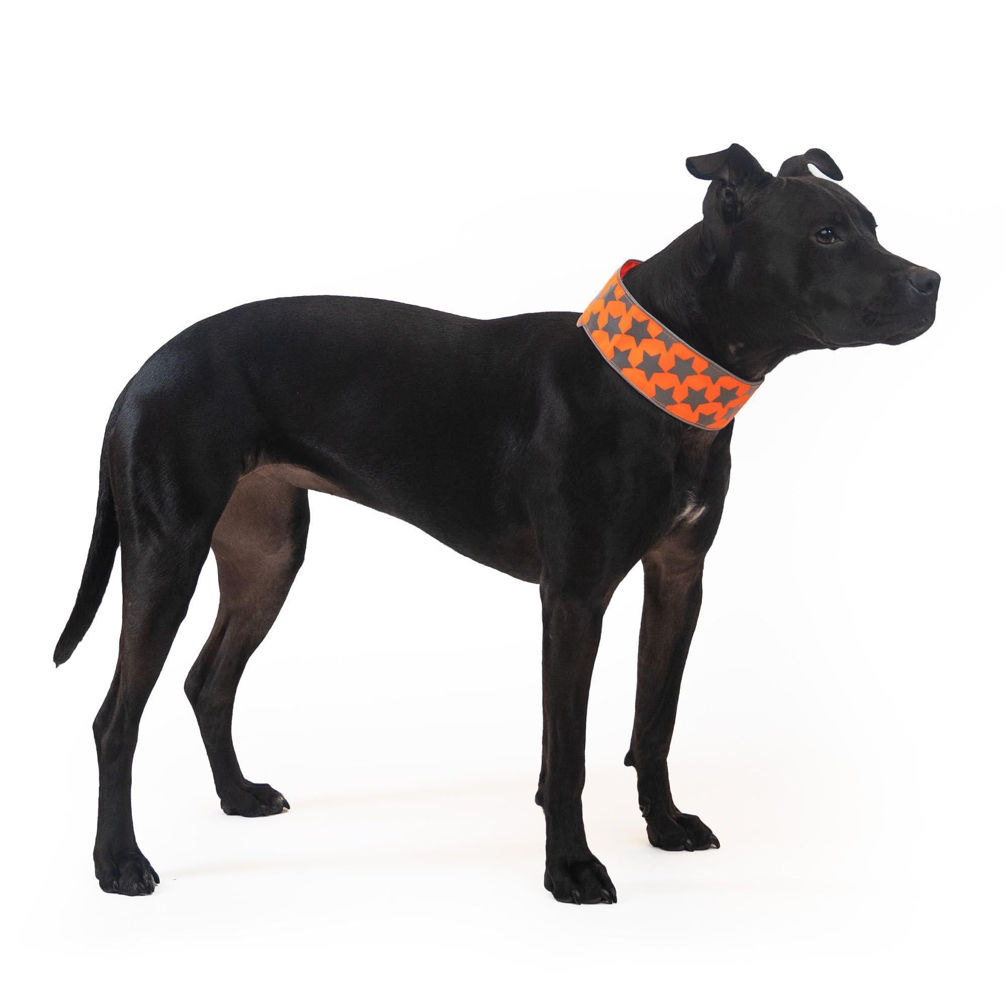 Reflective Dog Collar XL Size Adjustable Blaze Orange Reflective Dog Collar XL Size Adjustable Blaze Orange