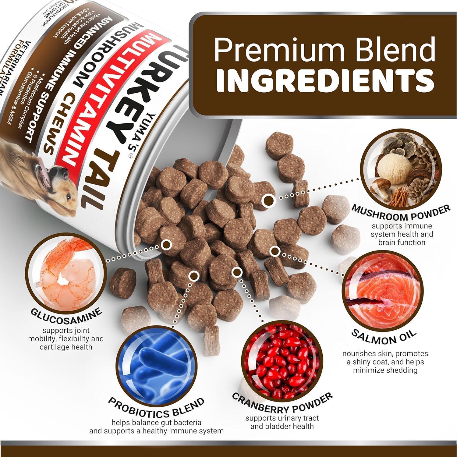 Turkey Tail Mushroom for Dogs Multivitamin Supplement Immune Support Turkey Tail Mushroom for Dogs Multivitamin Supplement Immune Support