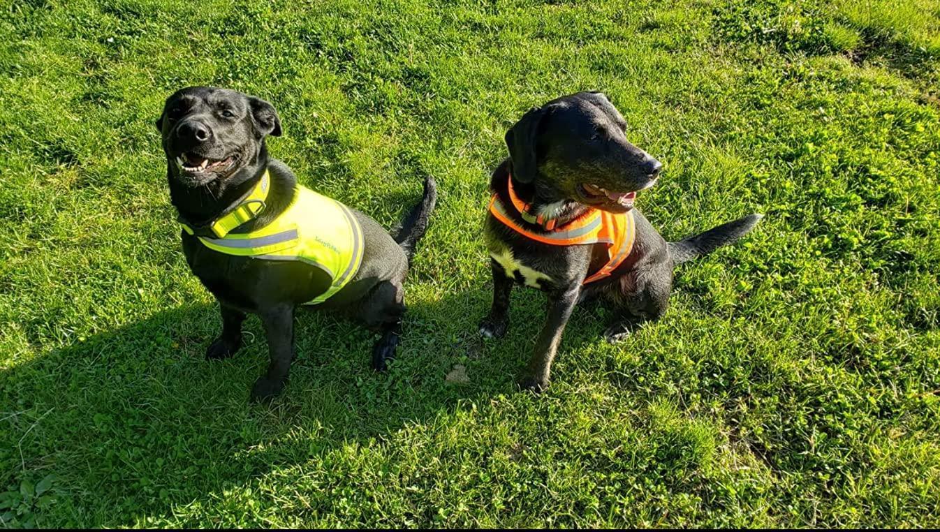 Lightweight Dog Vest Mid-Back Coverage 36.75 in Chest x 22 in Neck Lightweight Dog Vest Mid-Back Coverage 36.75 in Chest x 22 in Neck