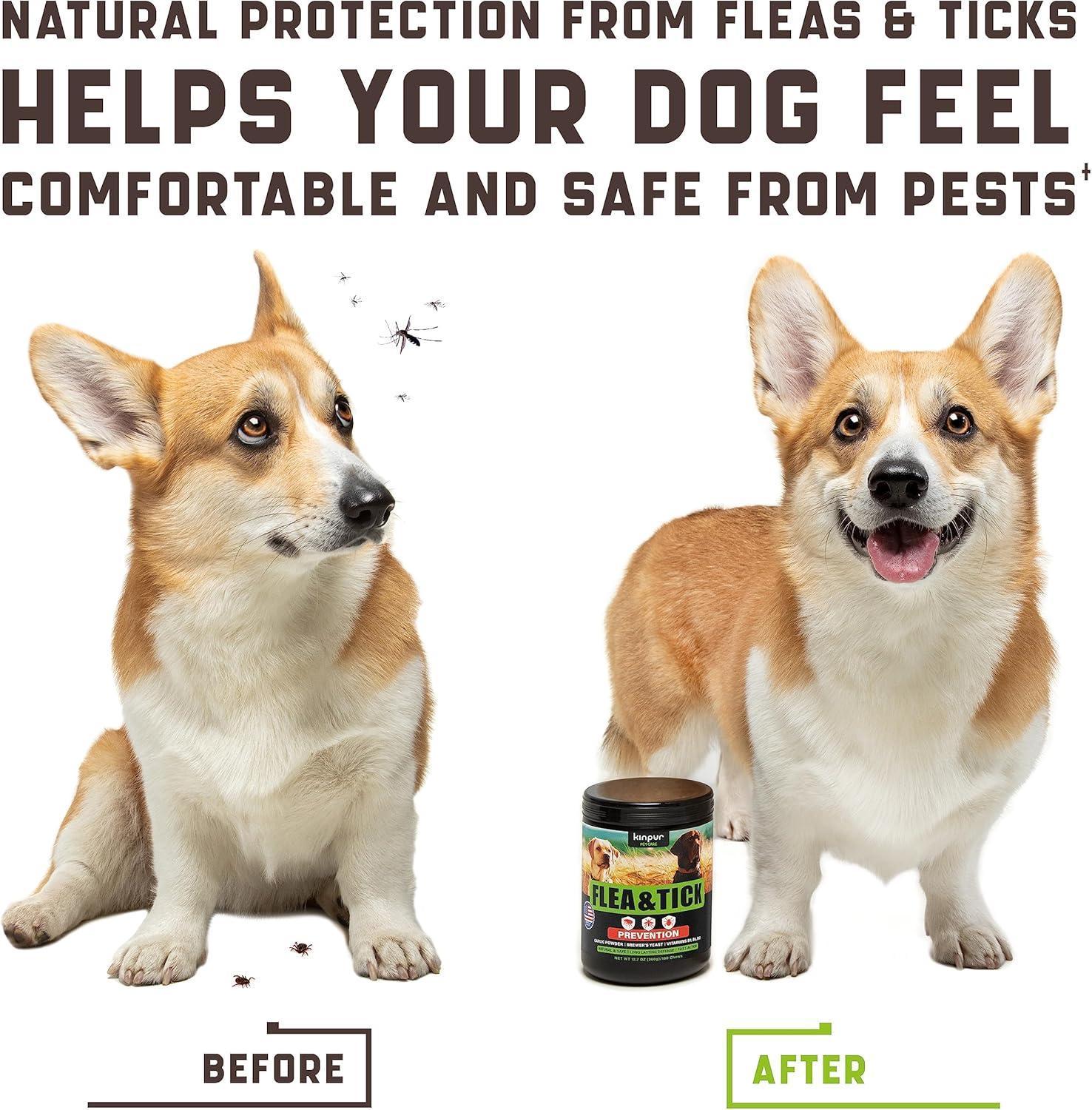 Flea & Tick Chews for Dogs 180 Count Duck Flavor All Breeds & Ages Flea & Tick Chews for Dogs 180 Count Duck Flavor All Breeds & Ages