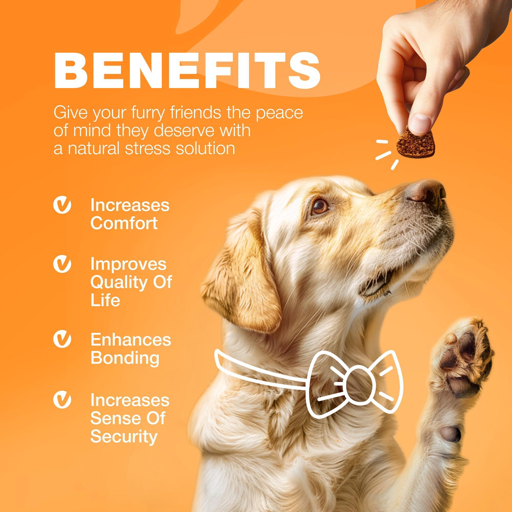 Dog Allergy Relief Chews Itch Relief Anti-Itch Dog Allergy Relief Chews Itch Relief Anti-Itch
