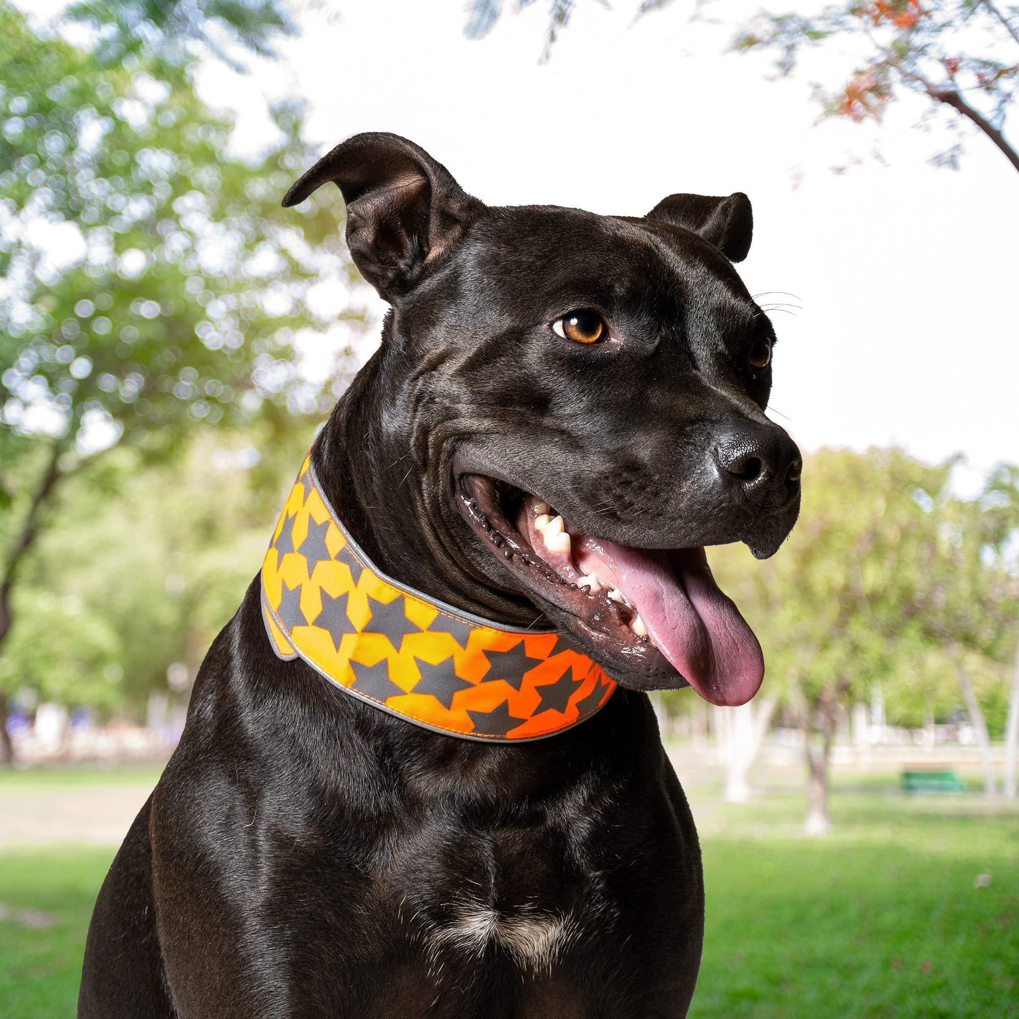 Reflective Dog Collar XL Size Adjustable Blaze Orange Reflective Dog Collar XL Size Adjustable Blaze Orange