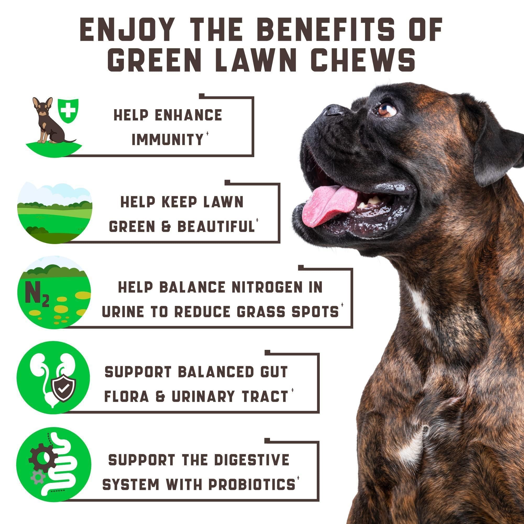 Green Lawn Chews for Dogs Urine Neutralizer Cranberry ACV & Enzymes Green Lawn Chews for Dogs Urine Neutralizer Cranberry ACV & Enzymes
