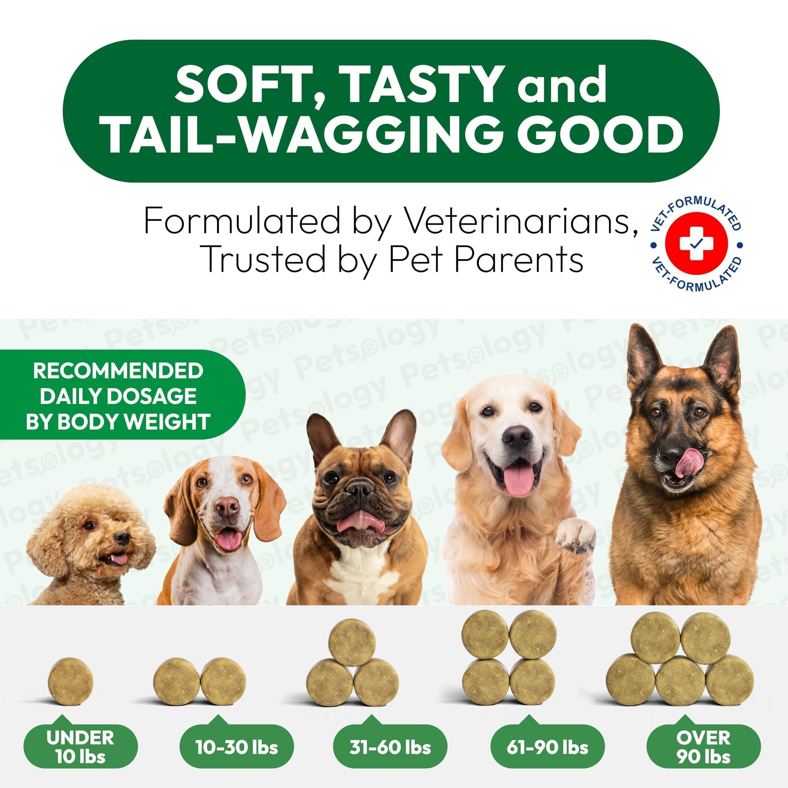 Dog Allergy Relief Chews 170 Count Itch Relief Omega-3 Fish Oil Dog Allergy Relief Chews 170 Count Itch Relief Omega-3 Fish Oil