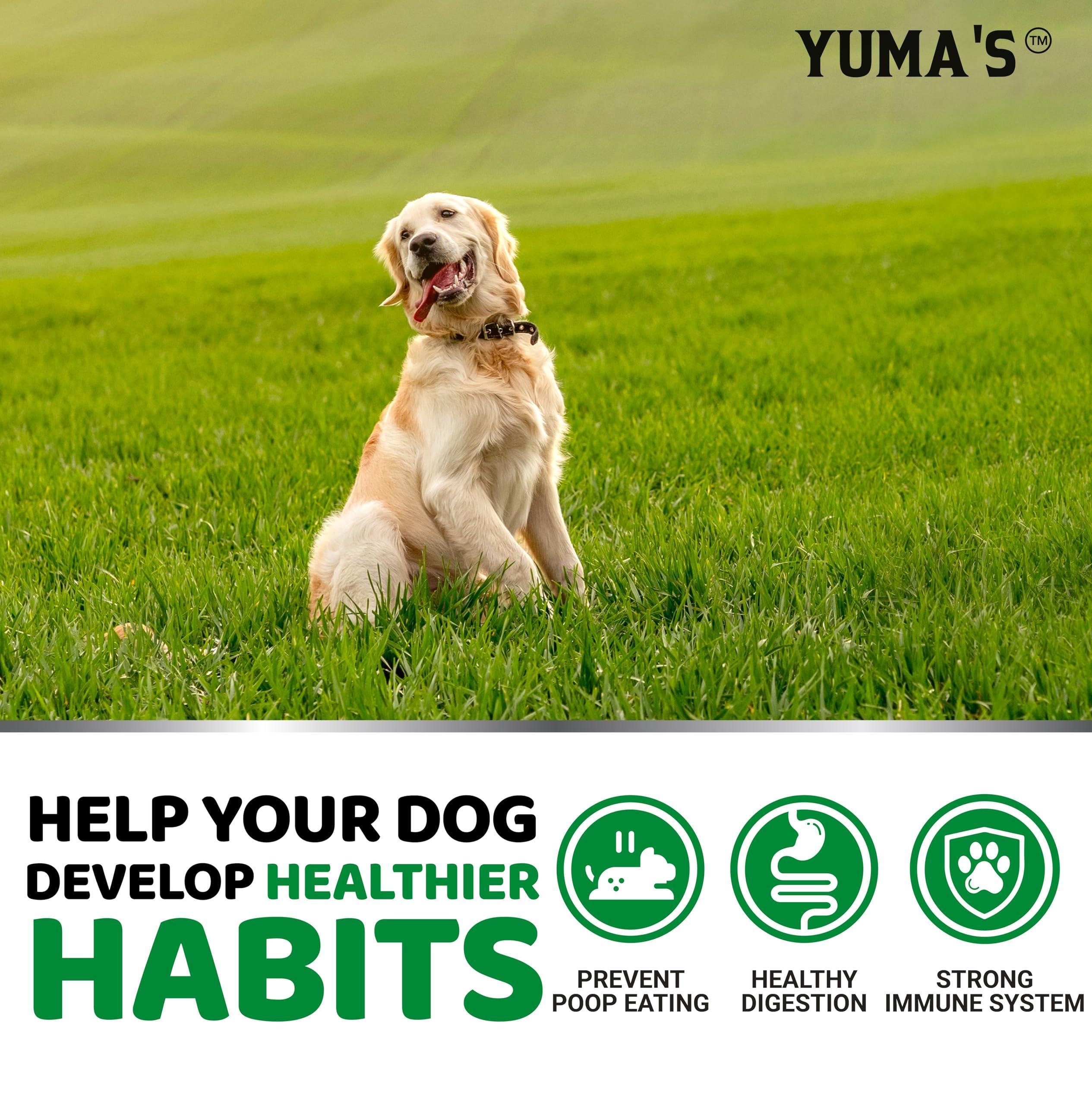 No Poo Chews for Dogs No Poo Chews for Dogs