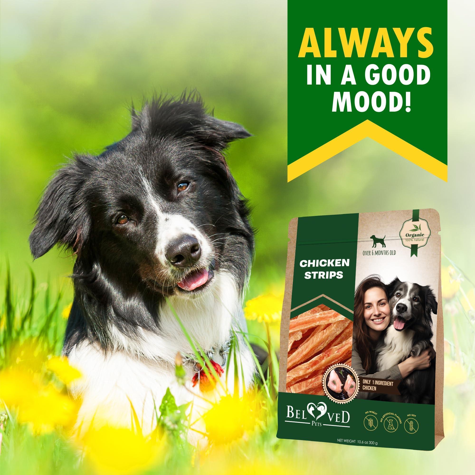 Chicken Strips Dog Treats Human-Grade Grain-Free 10.6 oz Chicken Strips Dog Treats Human-Grade Grain-Free 10.6 oz