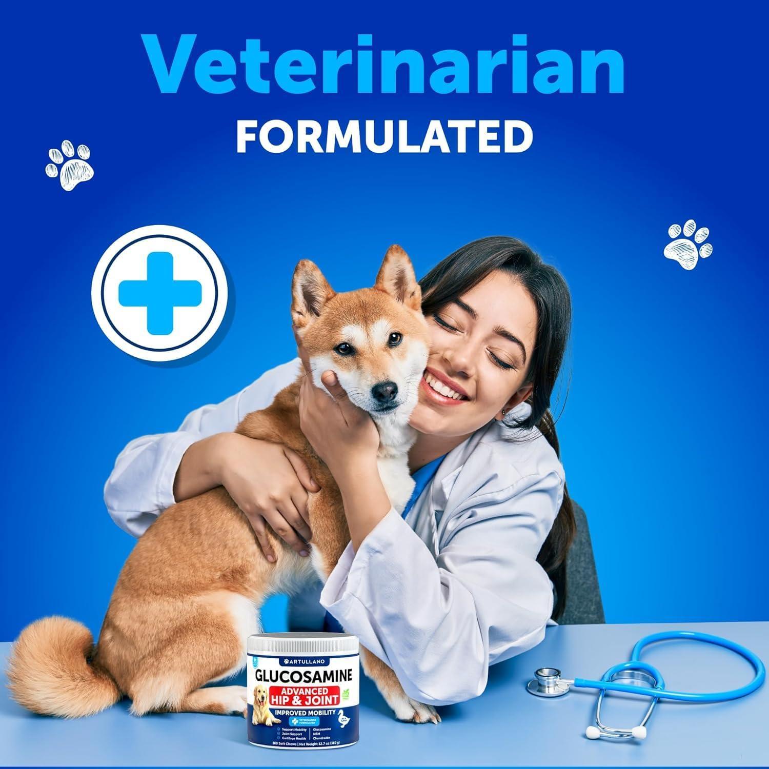 Glucosamine for Dogs Hip & Joint Chews Arthritis Support Glucosamine for Dogs Hip & Joint Chews Arthritis Support