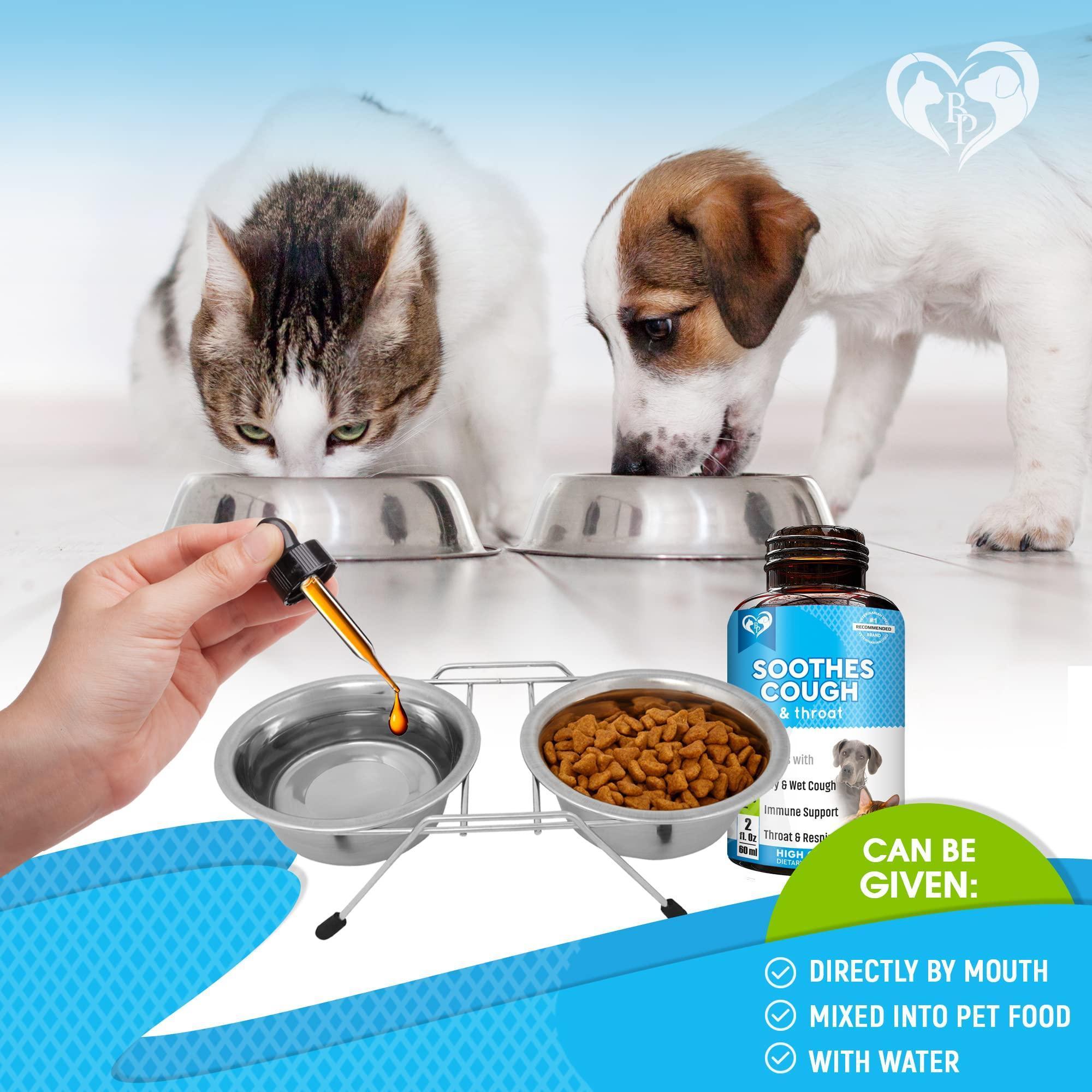 Kennel Cough Supplement for Dogs & Cats Cold & Cough Relief Kennel Cough Supplement for Dogs & Cats Cold & Cough Relief