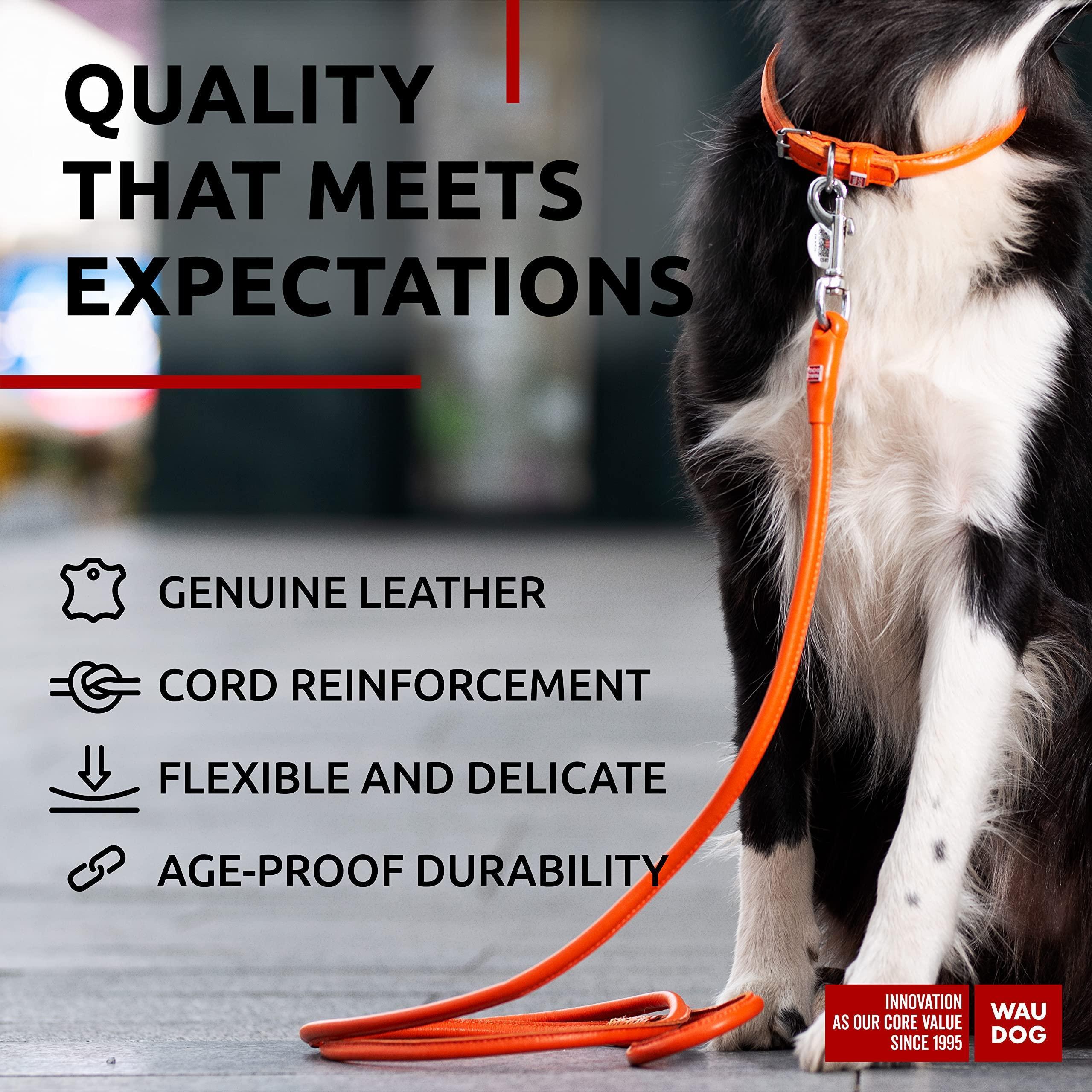 Rolled Leather Dog Leash 4 ft x 0.4 in All Sizes Orange Rolled Leather Dog Leash 4 ft x 0.4 in All Sizes Orange