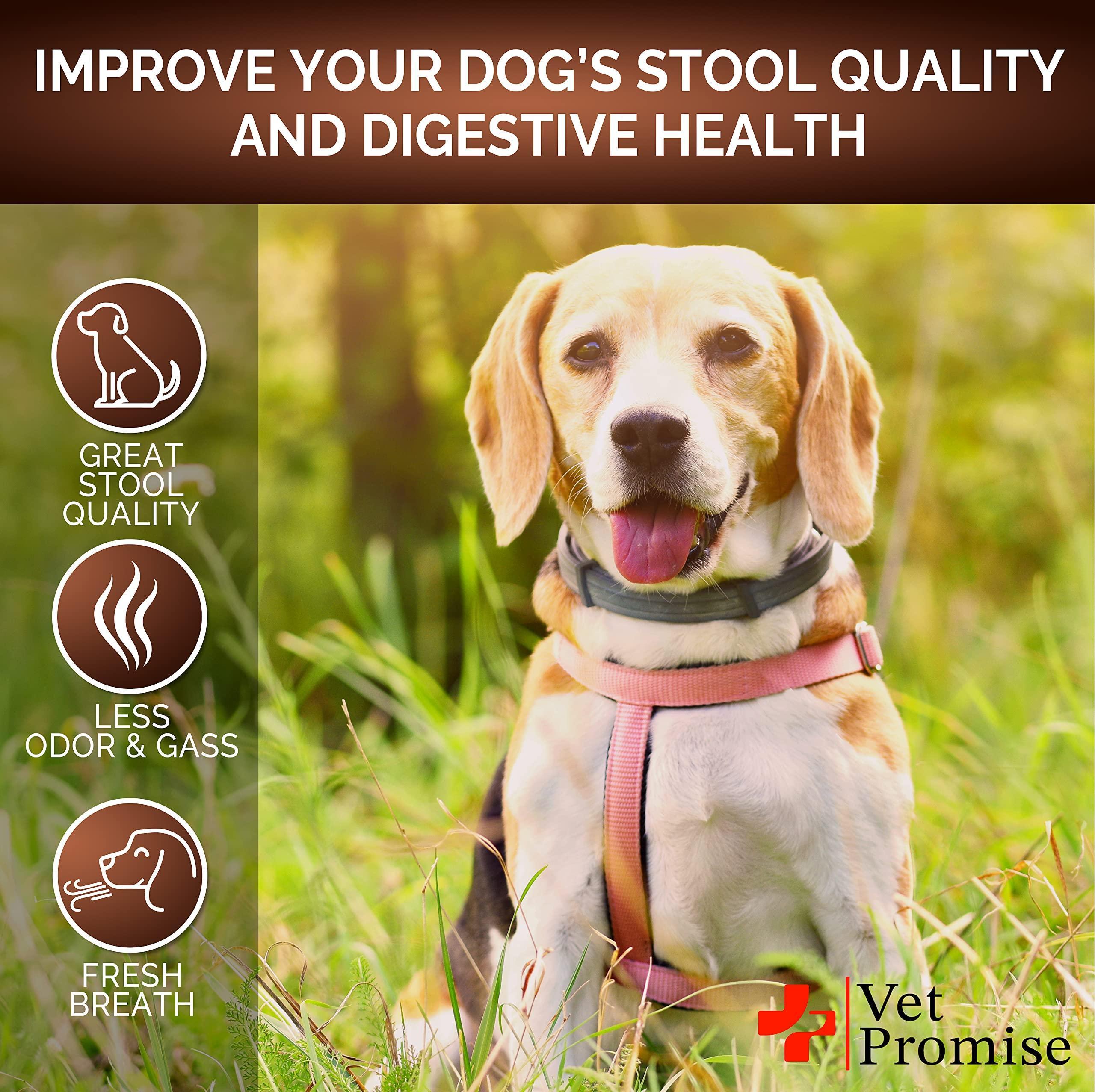 Probiotics for Dogs 120 Chews Stool Softener High Fiber Probiotics for Dogs 120 Chews Stool Softener High Fiber